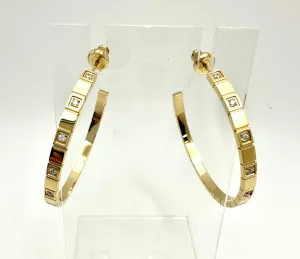 Ice Cube Hoops